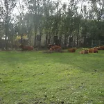Bed & Breakfast Il Baffetto 4*