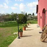 Bed & Breakfast Il Baffetto Rom