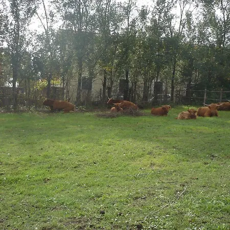 Couette-café Il Baffetto 4*