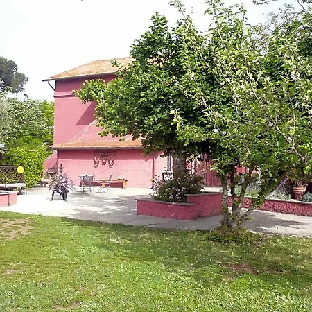 Bed & Breakfast Il Baffetto Rome