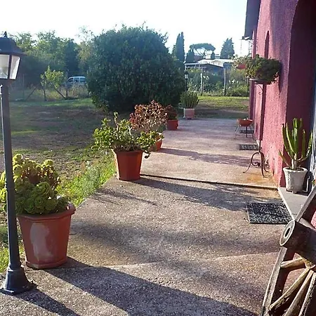Il Baffetto