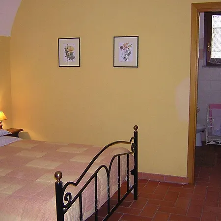 Il Baffetto Bed & Breakfast 4*