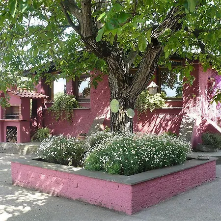 Il Baffetto Bed & Breakfast 4*