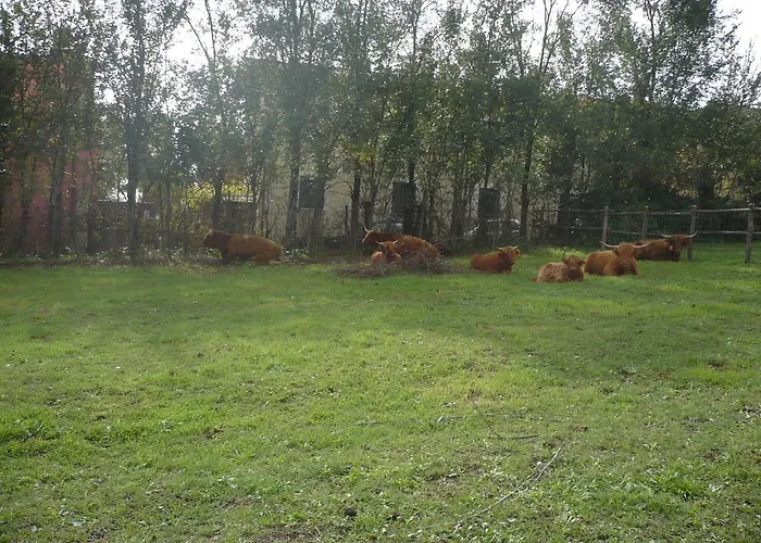 Oda ve Kahvaltı Il Baffetto 4*