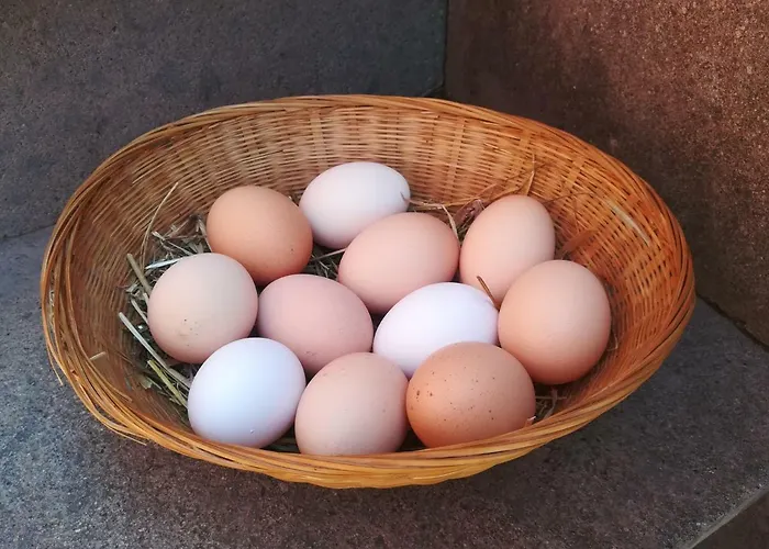 Il Baffetto Oda ve Kahvaltı Roma