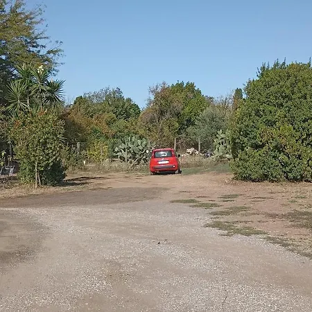 Il Baffetto روما