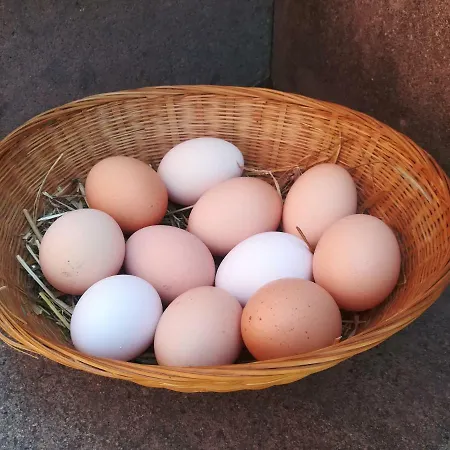 Il Baffetto فندق مبيت وإفطار روما